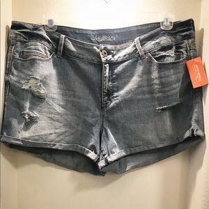 American Rag CIE Blue Jean Shorts/NWT/Plus-size